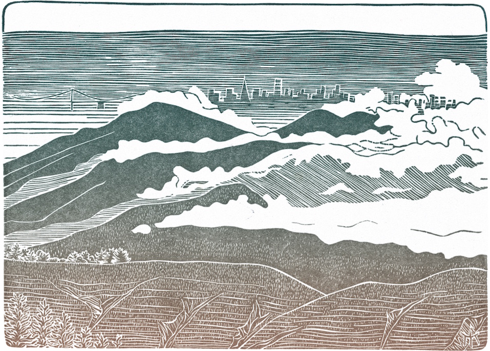 The City from Mt. Tamalpais — Tom Killion